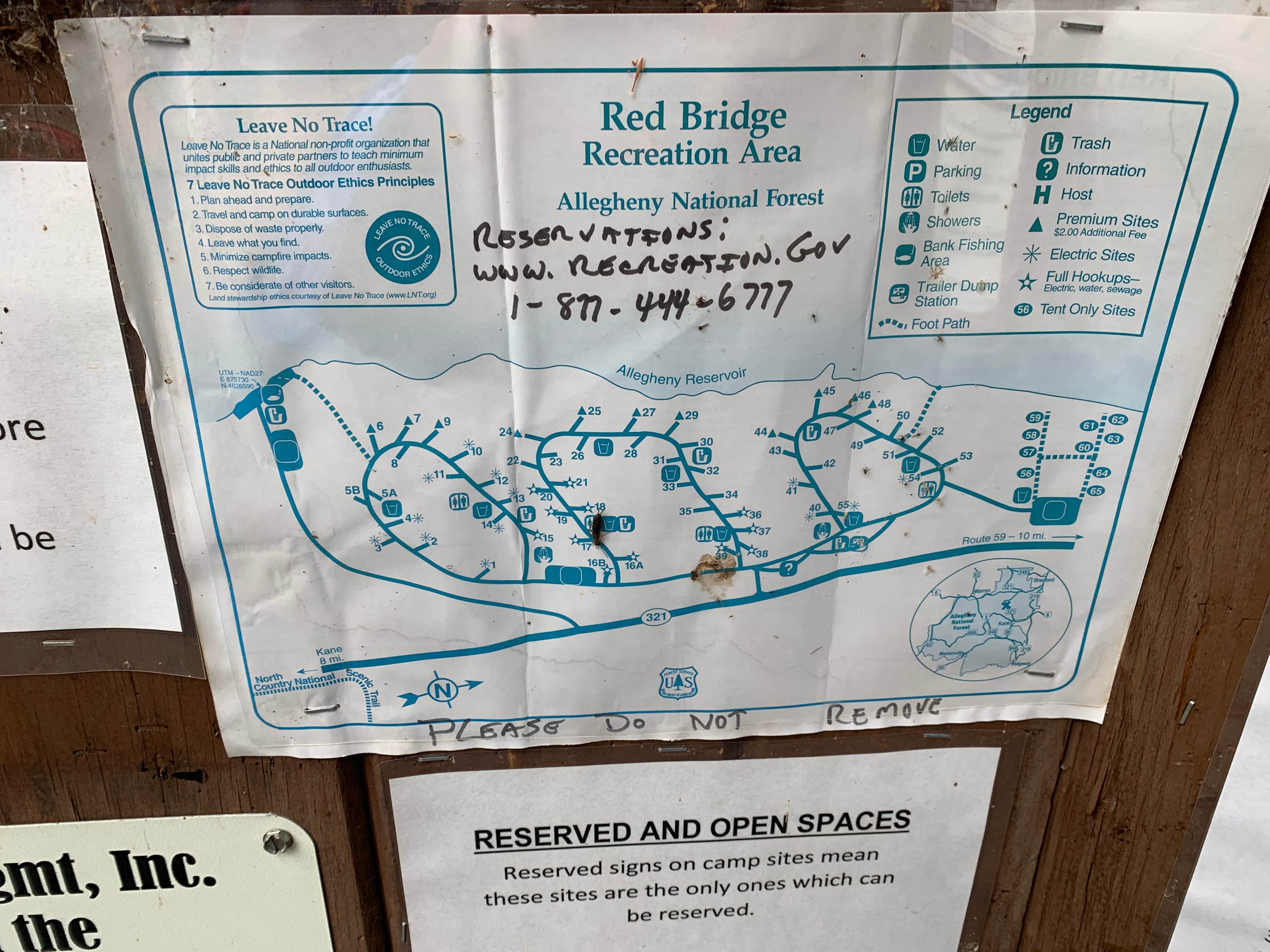 Camper submitted image from Red Bridge Recreation Area - Allegheny National Forest - 5