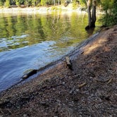 Review photo of Dreher Island State Park Campground by Ruth J., July 12, 2019