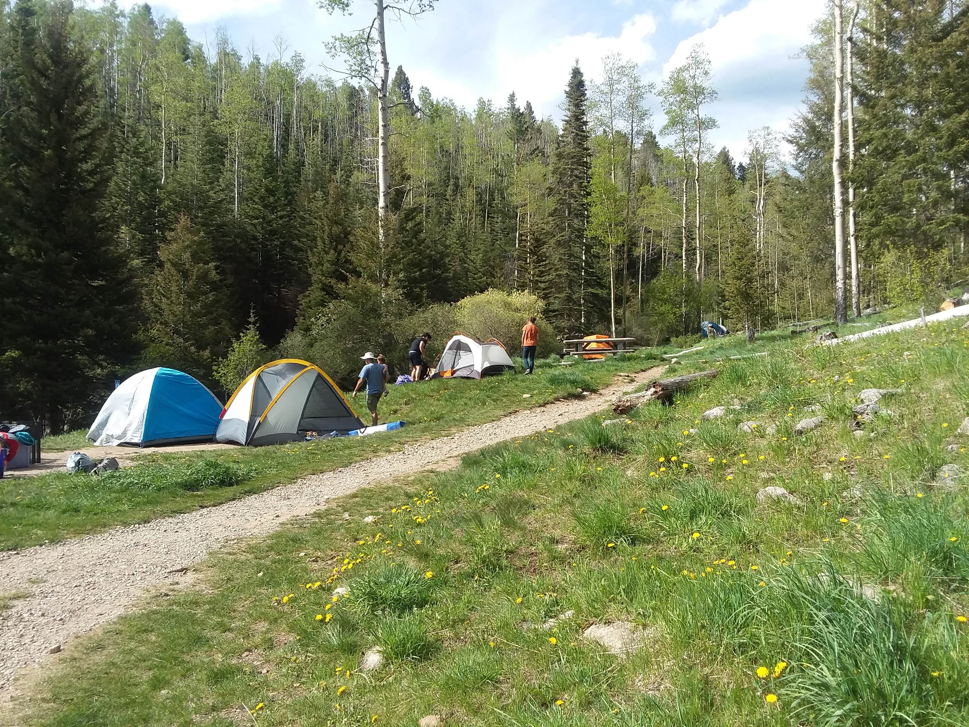 John R.'s photo of tent camping at Big Tesuque Campground near Abiquiu Lake