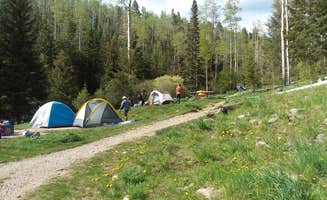 John R.'s photo at Big Tesuque Campground near Española, NM