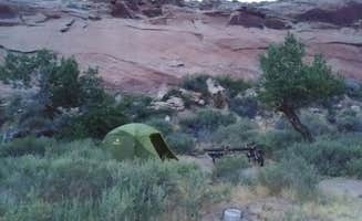 John R.'s photo at Sand Island Recreation Area — Bears Ears National Monument near Blanding, UT
