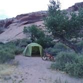 Review photo of Sand Island Recreation Area — Bears Ears National Monument by John R., July 12, 2019