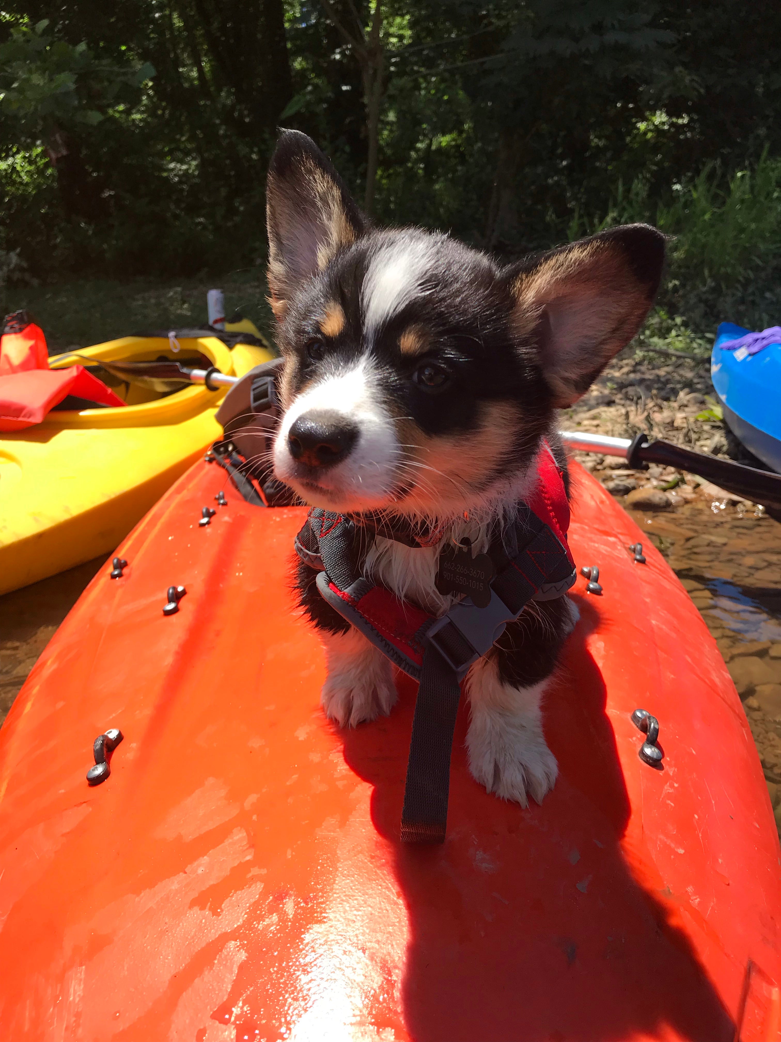 Clarence’s first river trip