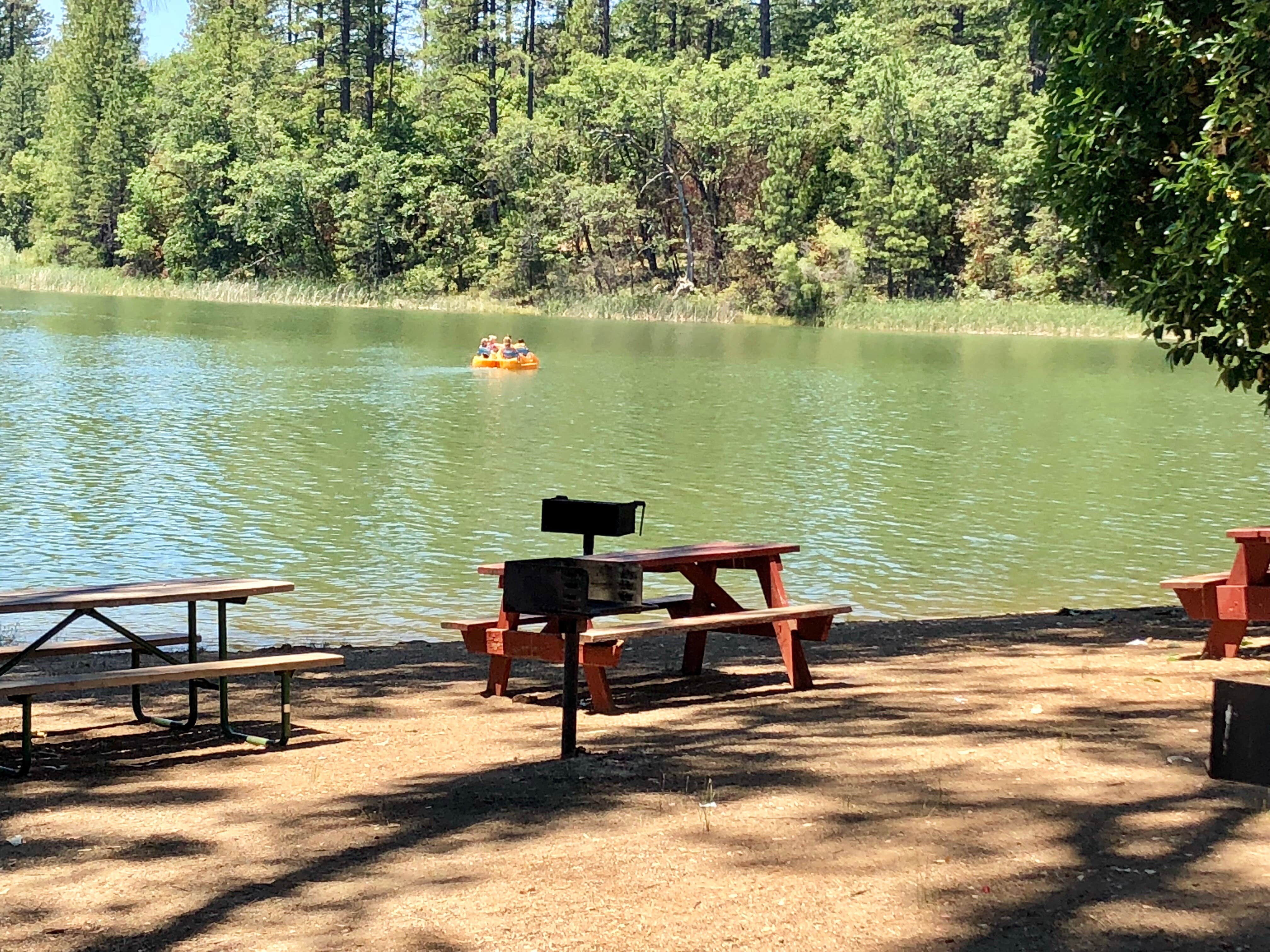 Camper submitted image from Lake Francis Resort - 2