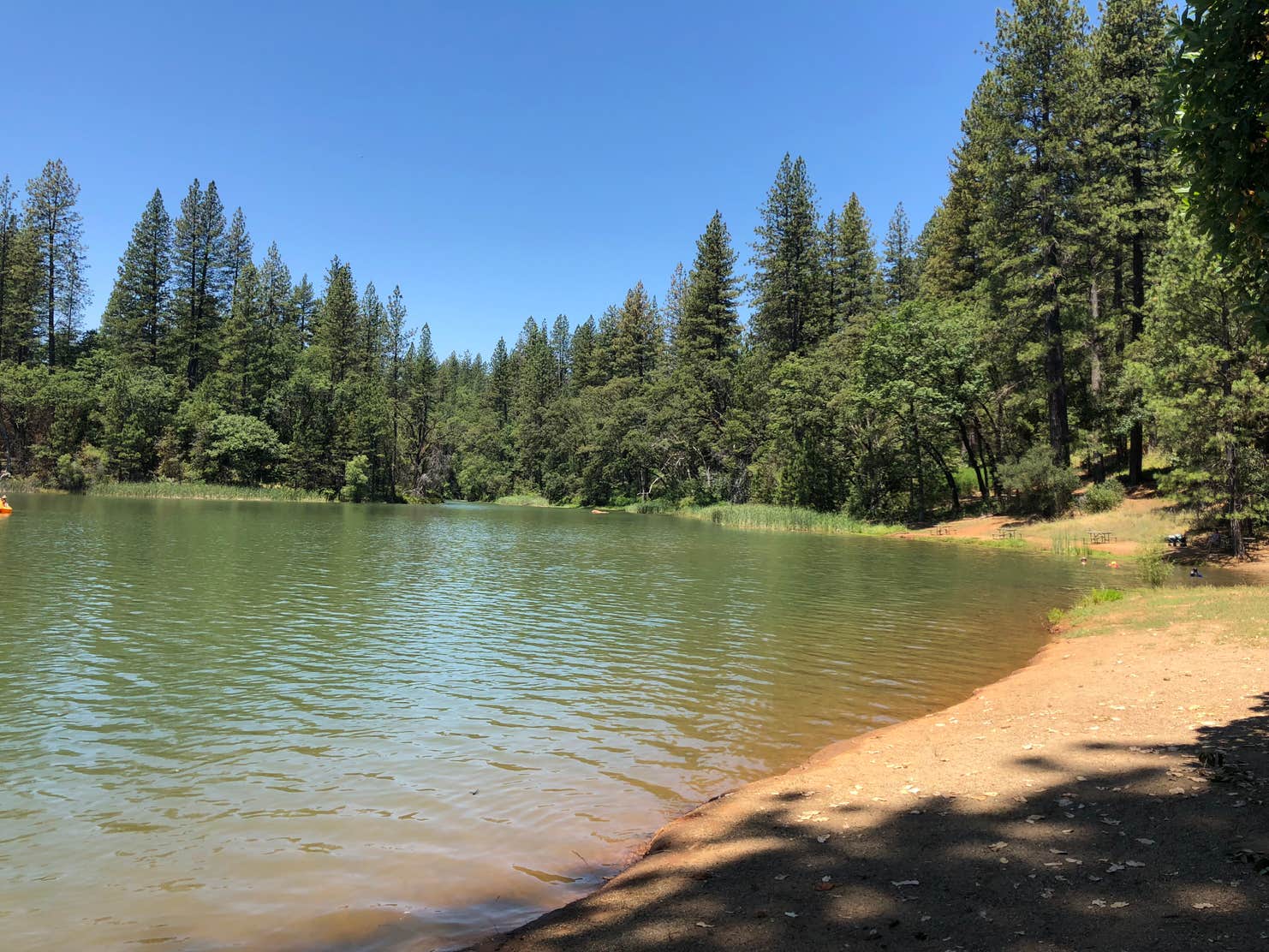 Lake Francis Resort The Dyrt