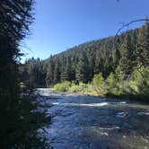 Review photo of Aspen Glade (rio Grande National Forest, Co) by Gunnar R., July 12, 2019