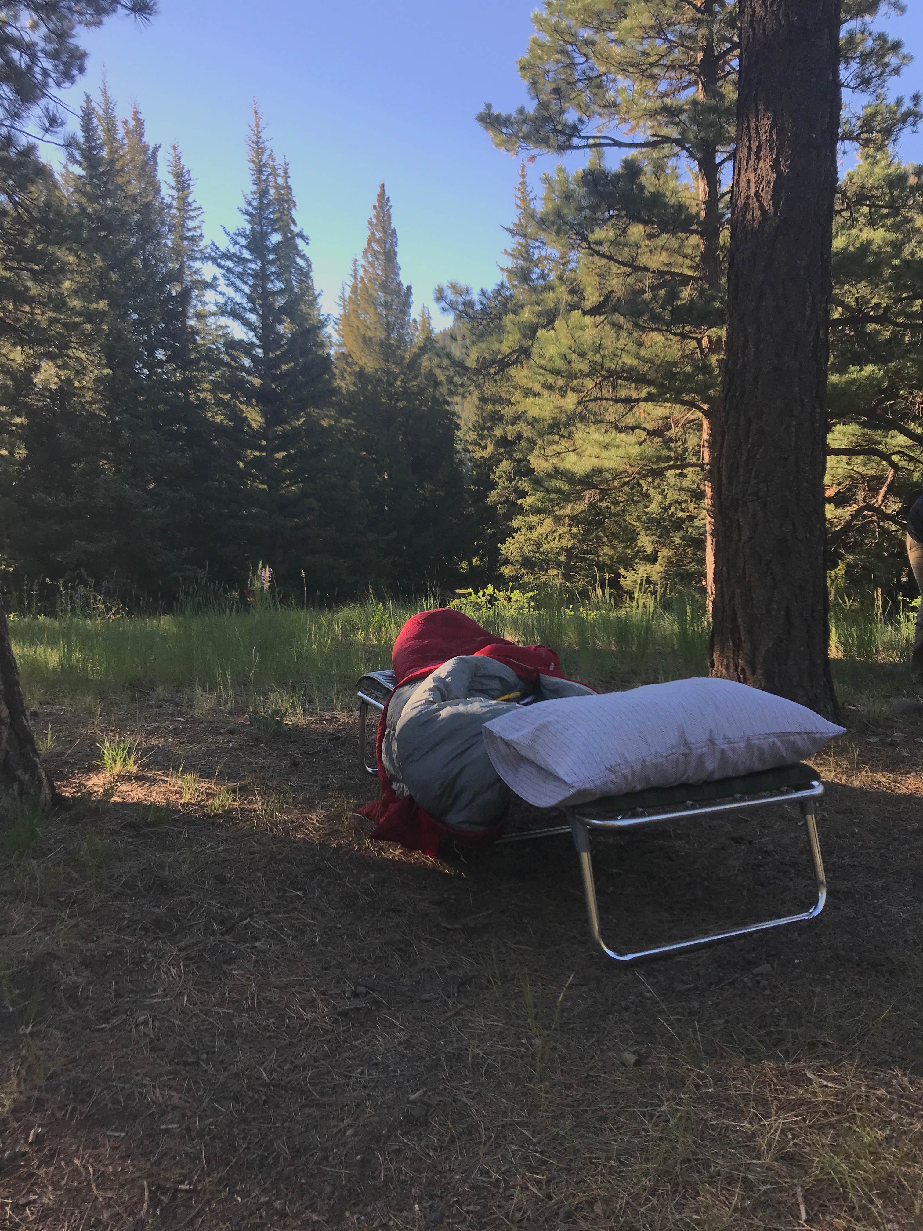 Camper submitted image from Aspen Glade (rio Grande National Forest, Co) - 3