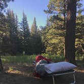 Review photo of Aspen Glade (rio Grande National Forest, Co) by Gunnar R., July 12, 2019