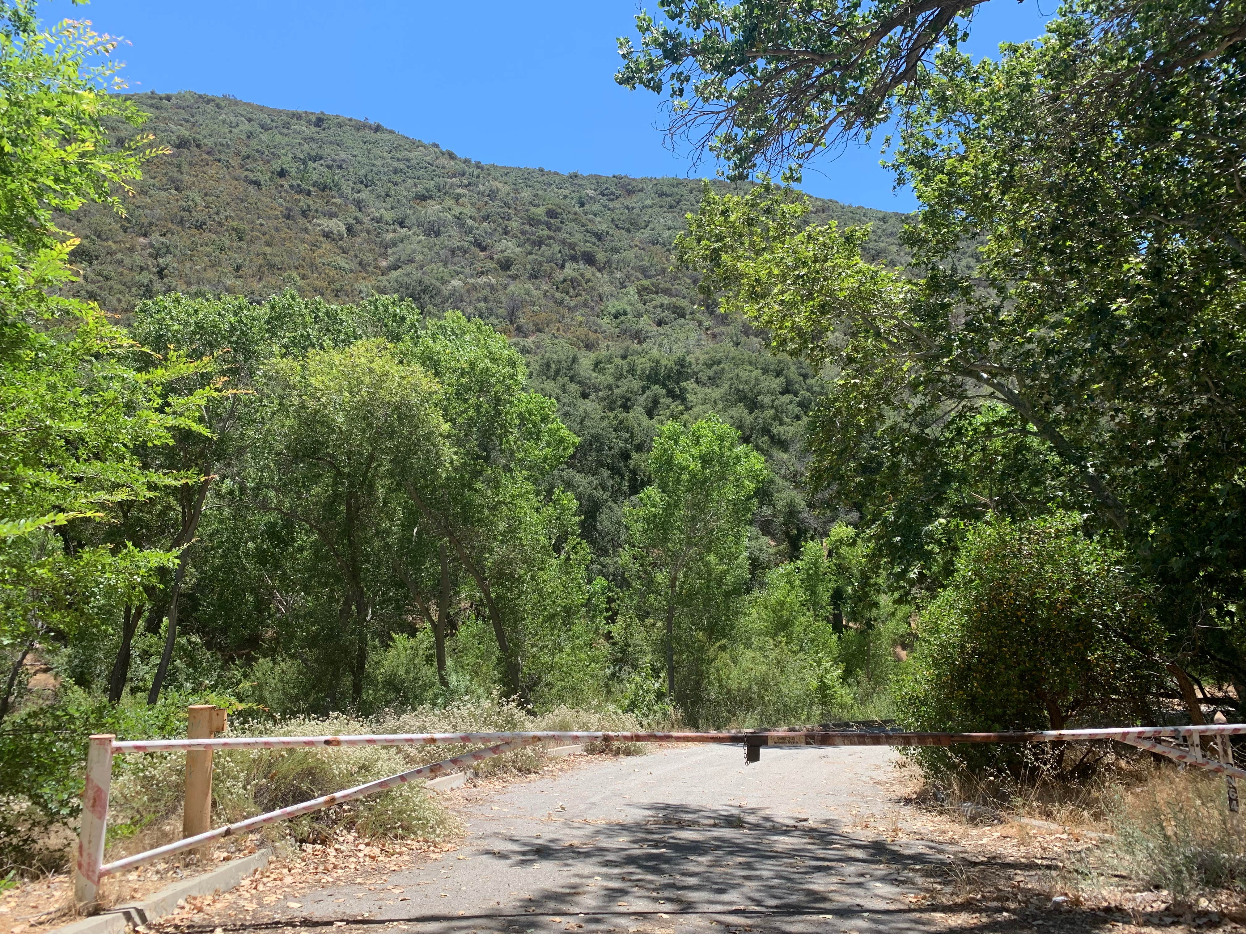 Sawmill Campground The Dyrt