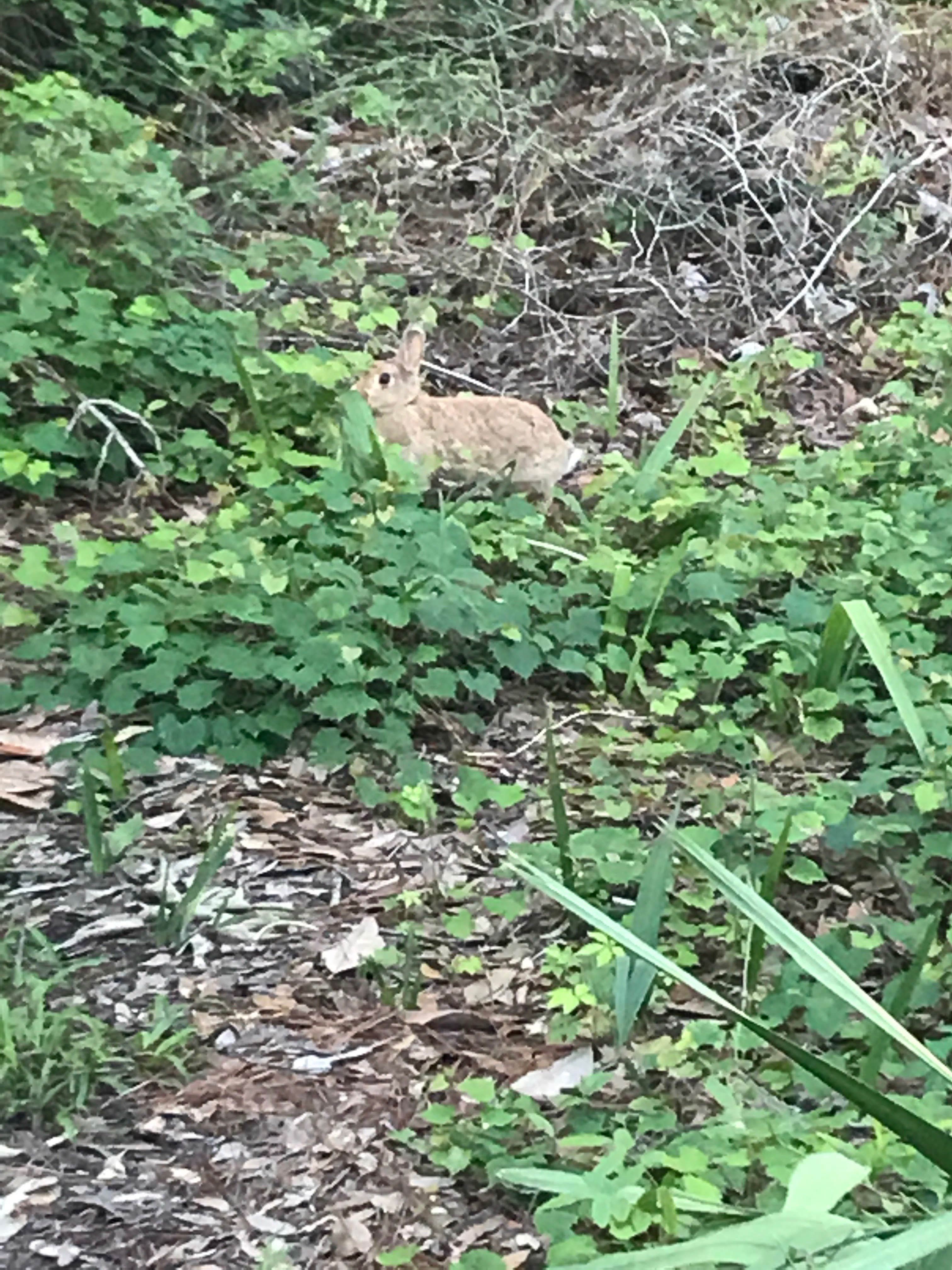 Camper-submitted photo at Blythe Island Regional Park near Brunswick, GA