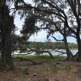 Review photo of Skidaway Island State Park Campground by Kara’s  C., July 12, 2019