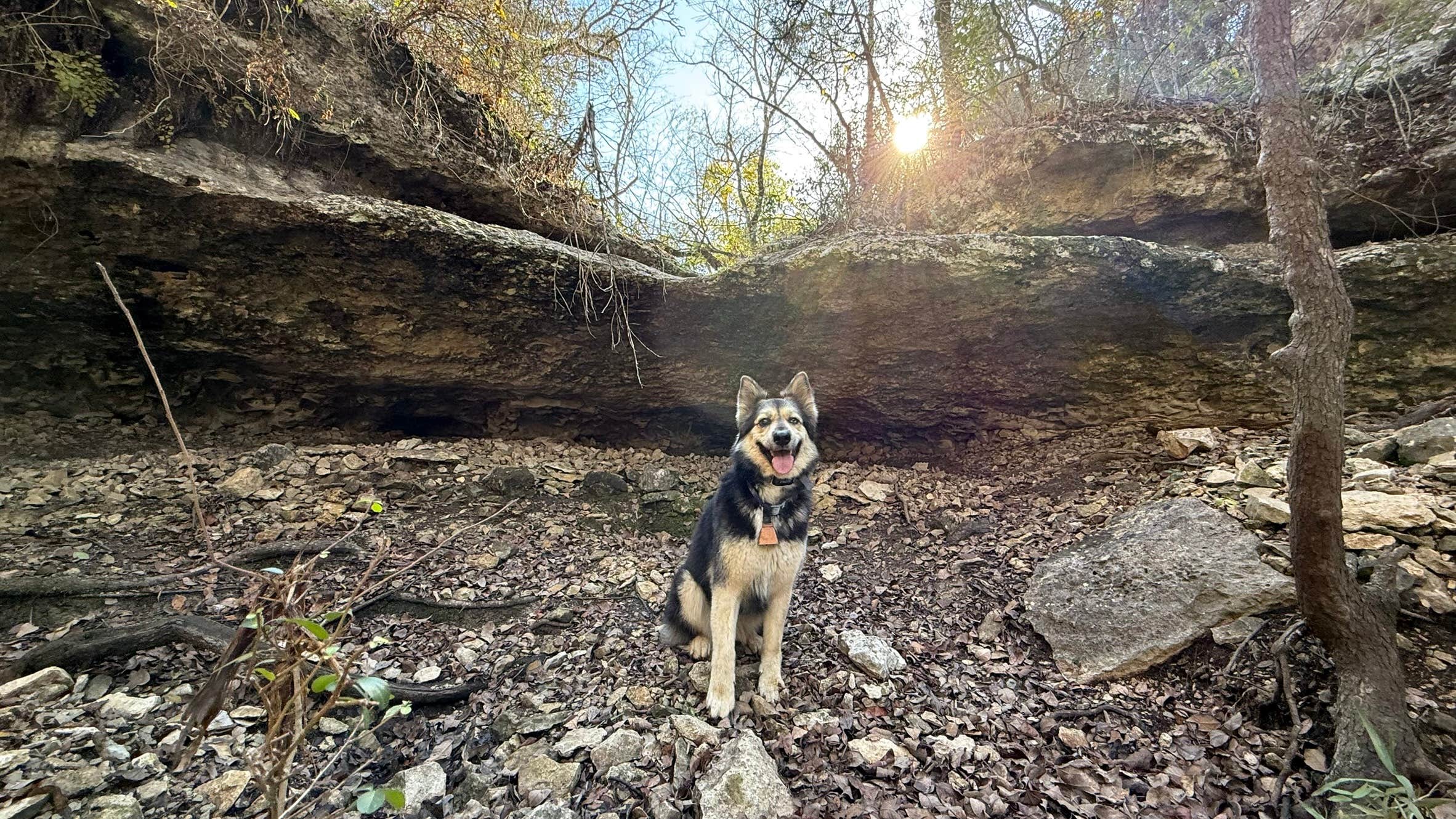 info D.'s photo of camping with pets at Desperado Resort near Castroville, TX
