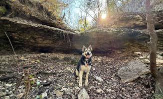 info D.'s photo of camping with pets at Desperado Resort near Fredericksburg, TX