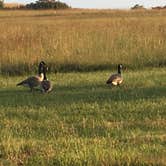 Review photo of Bluestem Point Area — El Dorado State Park by Matt S., September 19, 2016