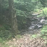 Review photo of Pittsfield State Forest by Tiff H., July 12, 2019