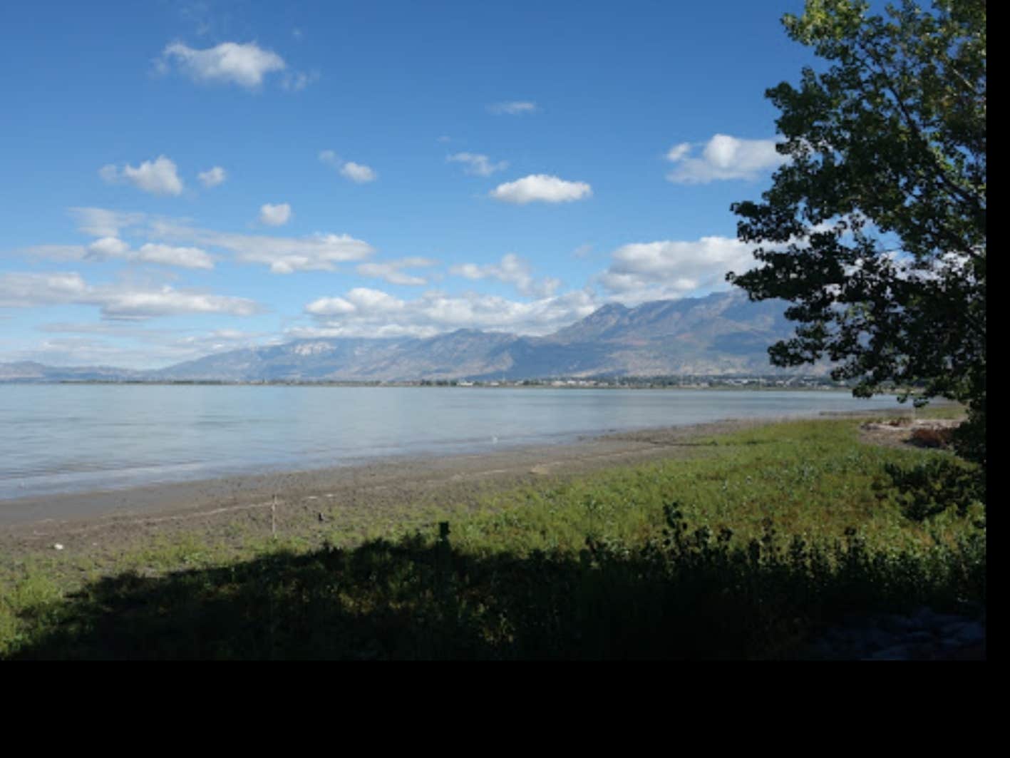 Camper submitted image from Utah Lake State Park Campground - 3