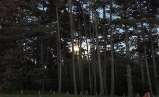 Nick K.'s photo at Salt Point State Park Campground near Cazadero, CA