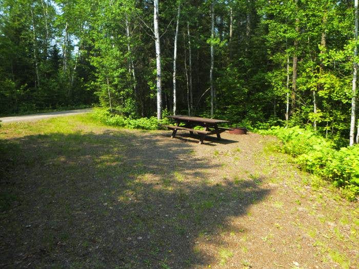 Camper submitted image from East Bearskin Lake Campground - 4