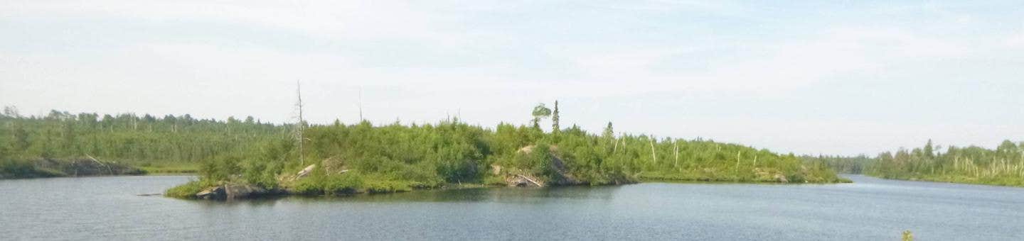 View All