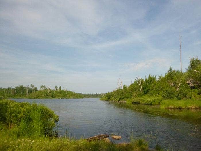 Camper submitted image from Superior National Forest Iron Lake Campground - 2