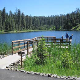 Public Campgrounds: Walton Lake
