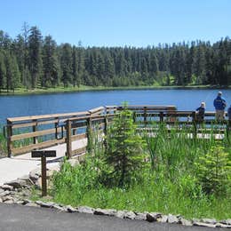 Public Campgrounds: Walton Lake