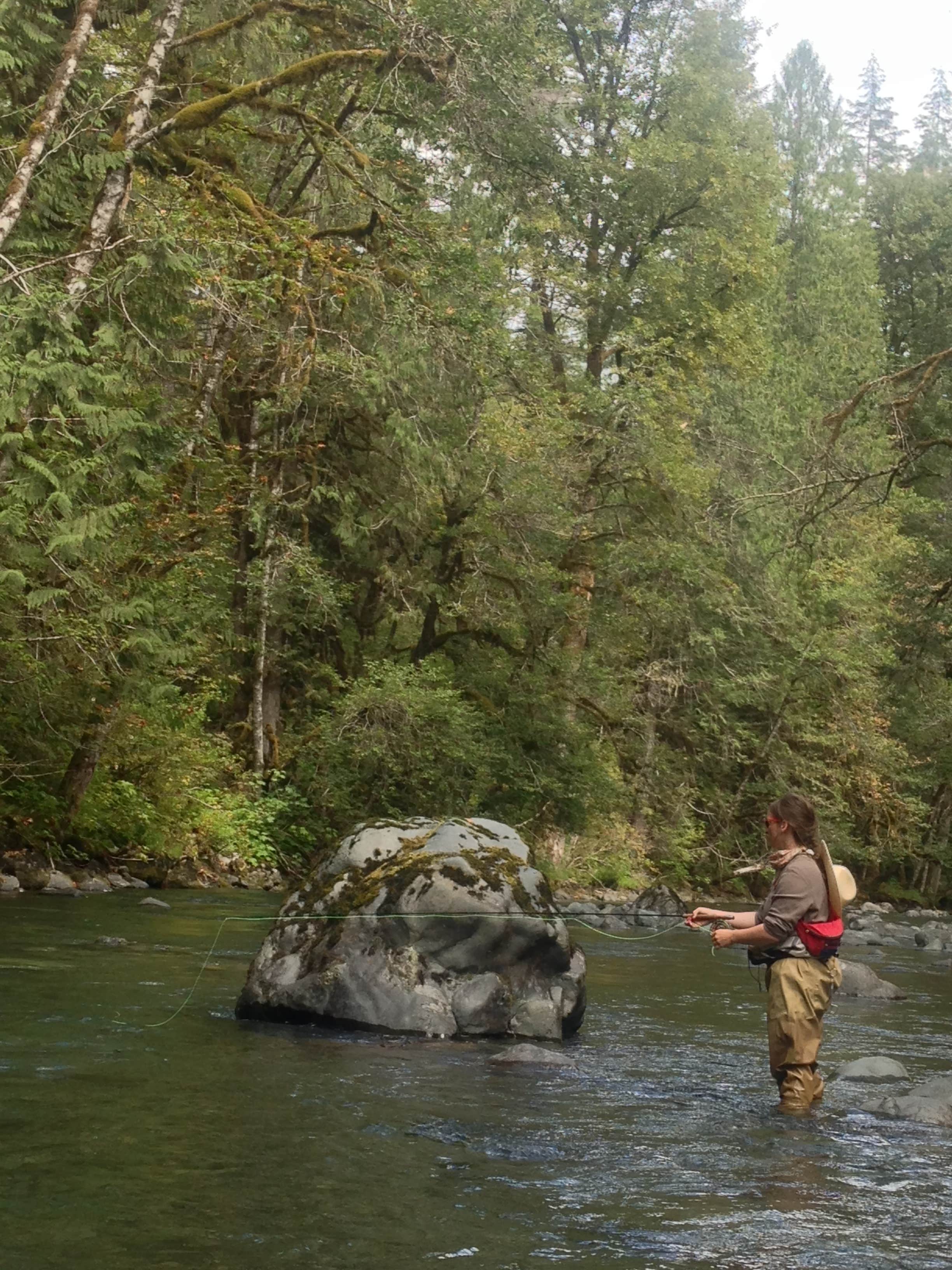 Camper-submitted photo at Upper Duckabush — Olympic National Park near Brinnon, WA