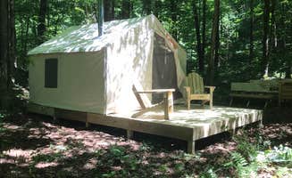 The Dyrt's photo at The Lodge's Campsite near West Stockbridge, MA