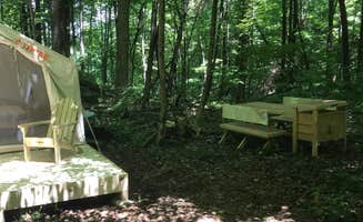 The Dyrt's photo at The Lodge's Campsite near Tanglewood, MA