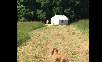 The Dyrt's photo of camping with pets at Mountain Bliss Campsite near Narrowsburg, NY