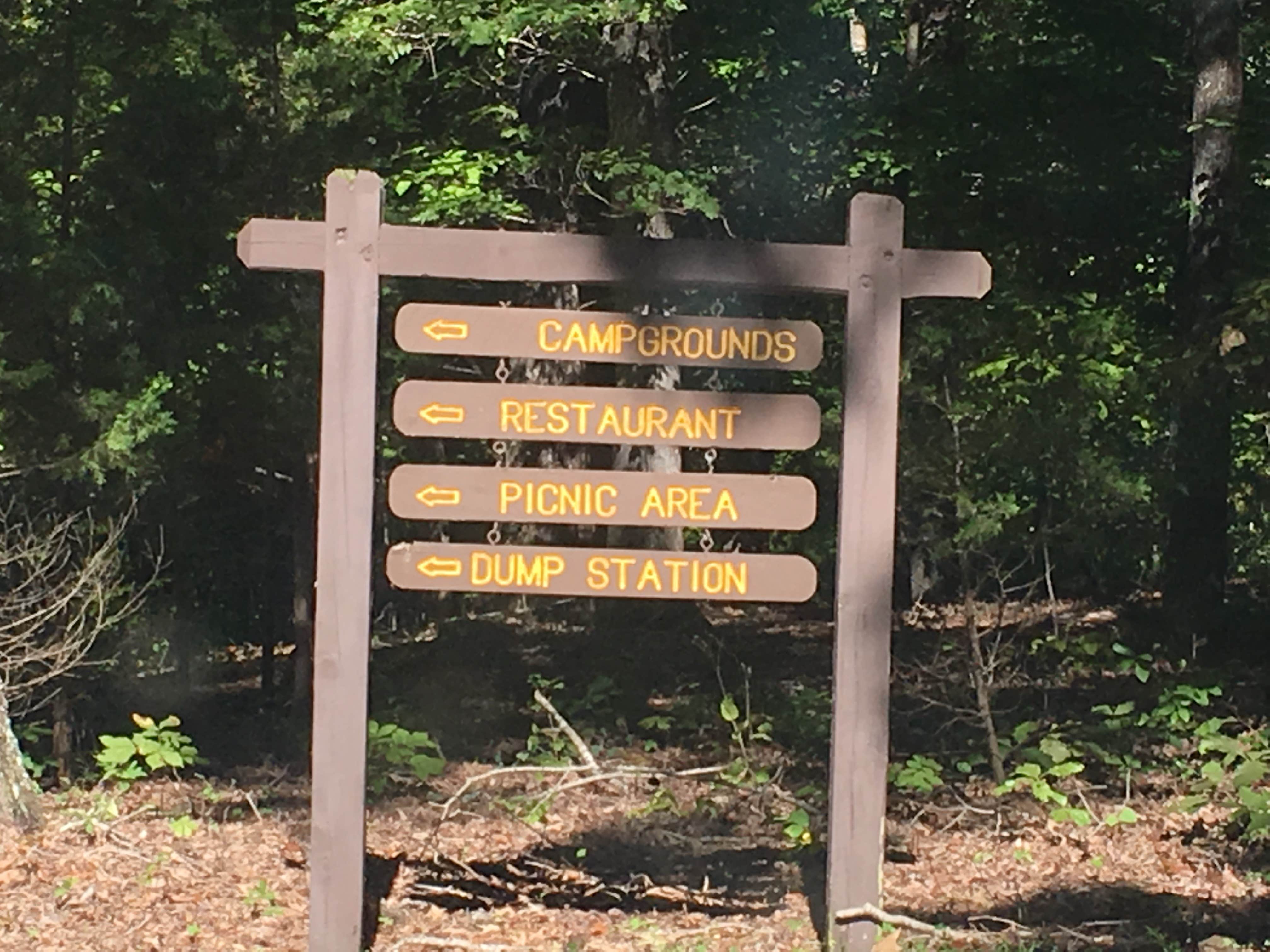 Camper submitted image from Devil's Den State Park Campground - 4