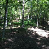Review photo of Devil's Den State Park Campground by Matt S., September 19, 2016