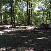 Review photo of Devil's Den State Park Campground by Matt S., September 19, 2016