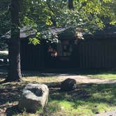Review photo of Devil's Den State Park Campground by Matt S., September 19, 2016