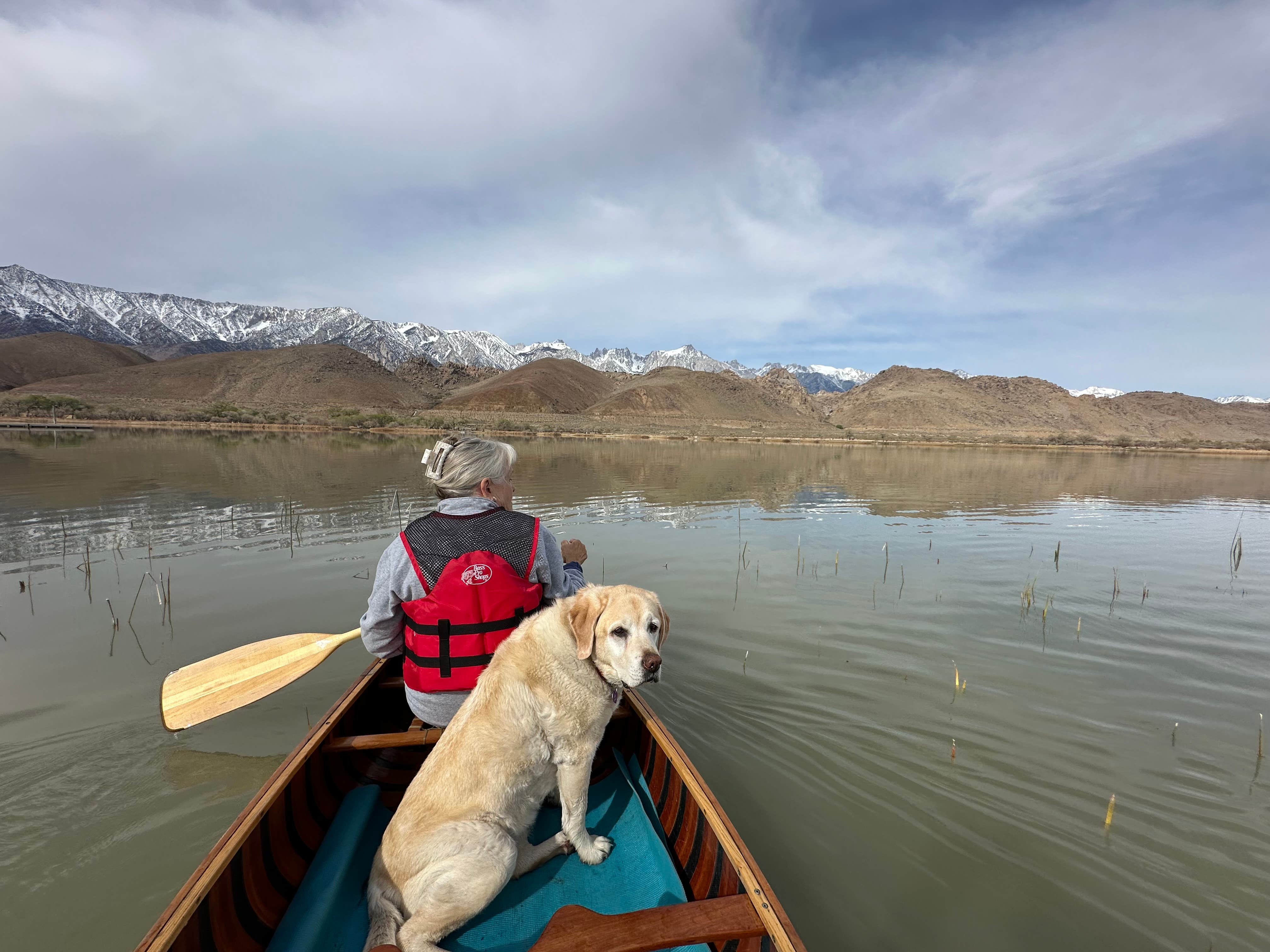 Bosn E.'s photo of camping with pets at Diaz Lake Campground near Death Valley National Park
