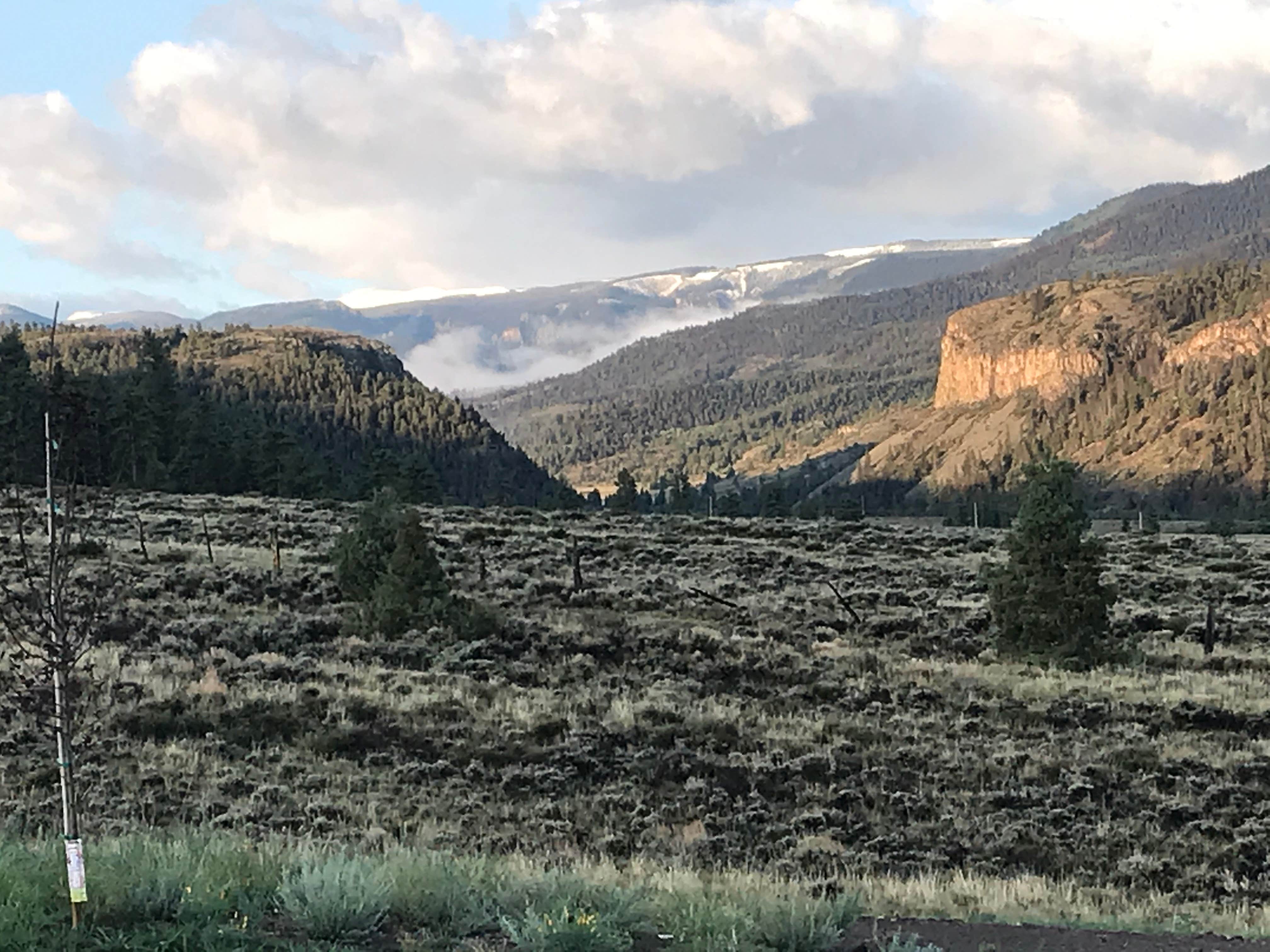 Camping near Fall Creek #231: The Herb Ranch, Powderhorn, Colorado