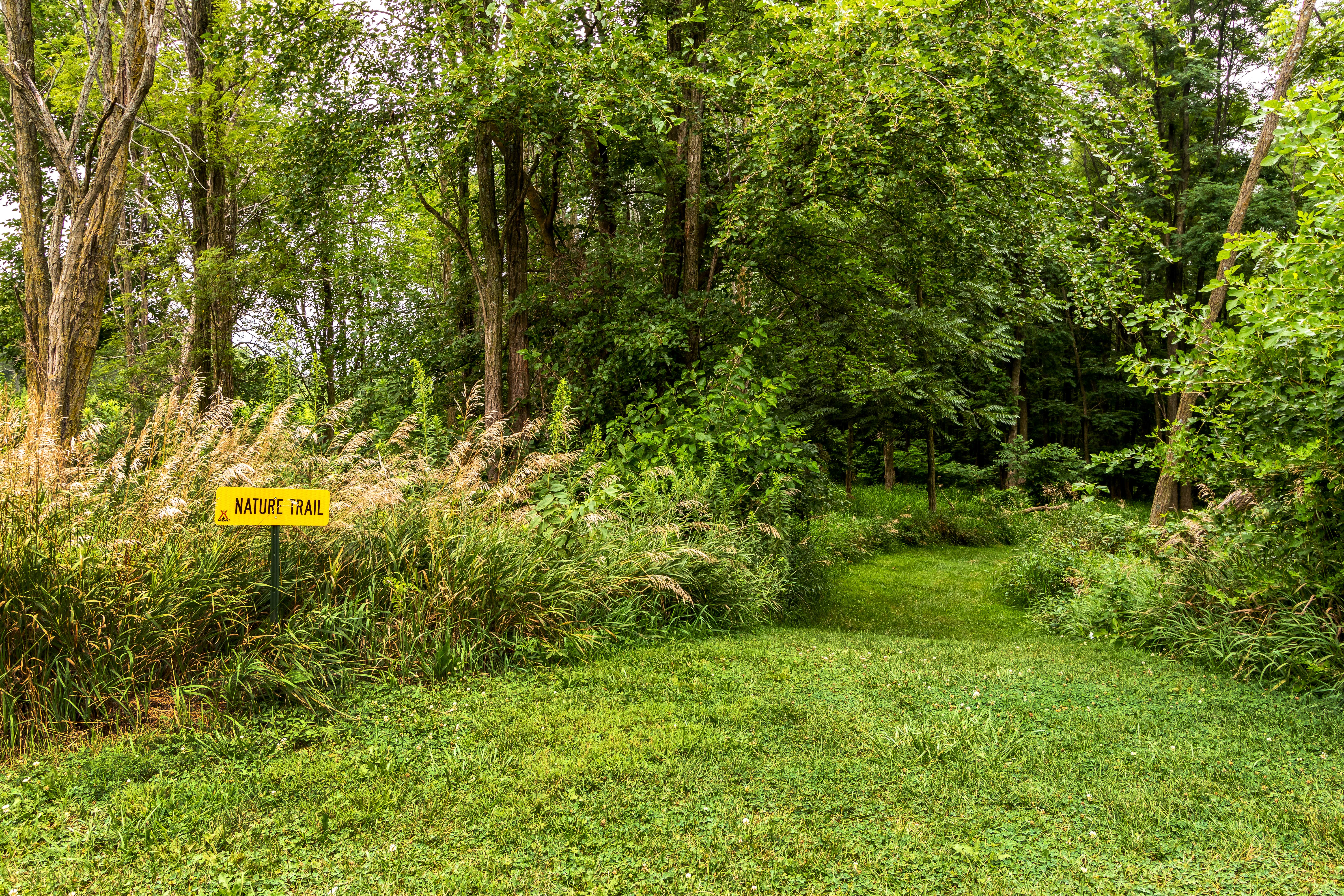 Camper-submitted photo at Galesburg East / Knoxville KOA Journey near Galesburg, IL