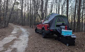 Sara S.'s photo of a dispersed camping area at Mountain Rest Mountain Top near National Forests in North Carolina