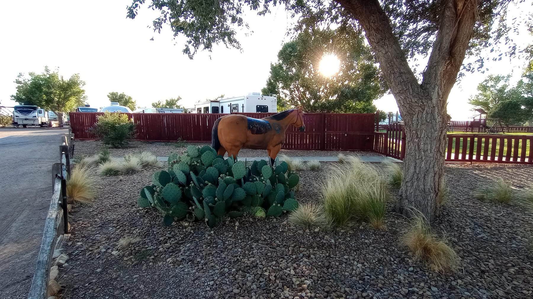 Camper-submitted photo at Fort Amarillo RV Resort near Canyon, TX