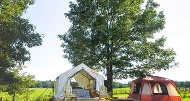 Berry Farm Orchard View