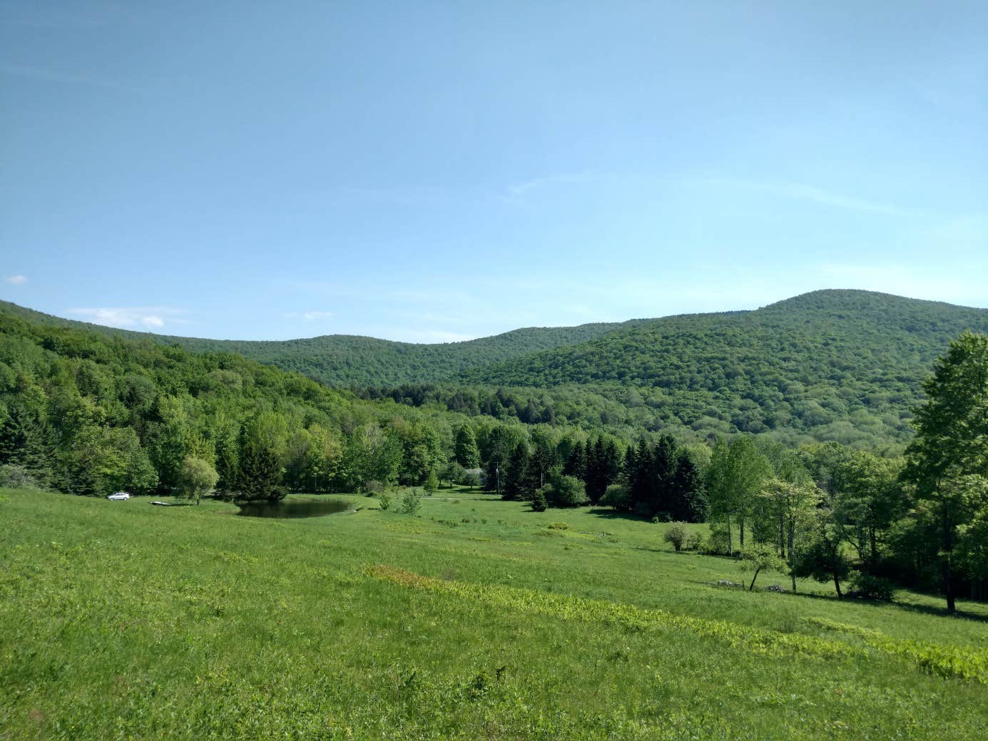 Nature