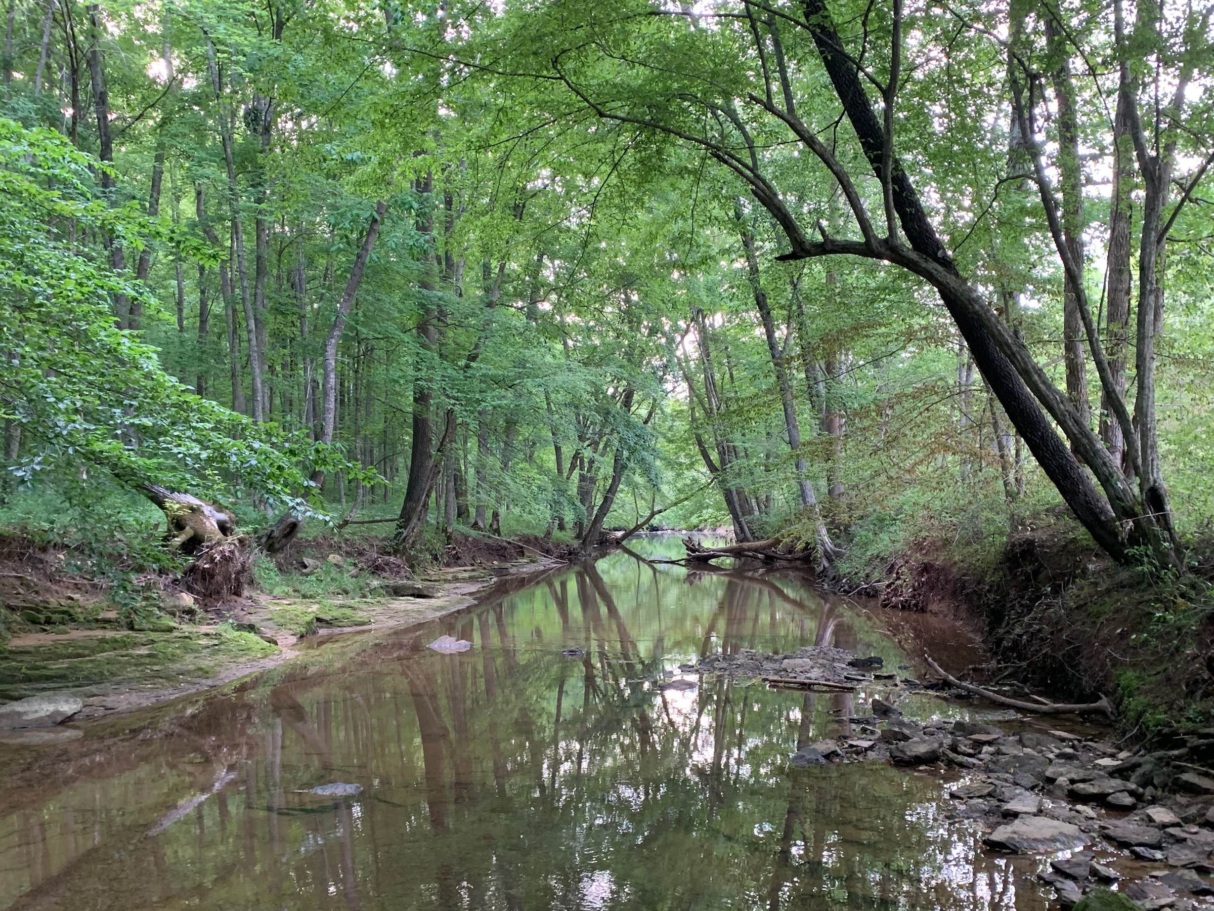 Camper submitted image from Hidden Lake Farms Camping and Retreat Gully Creek - 4