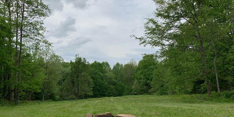 Camper submitted image from Hidden Lake Farms Camping and Retreat Gully Creek