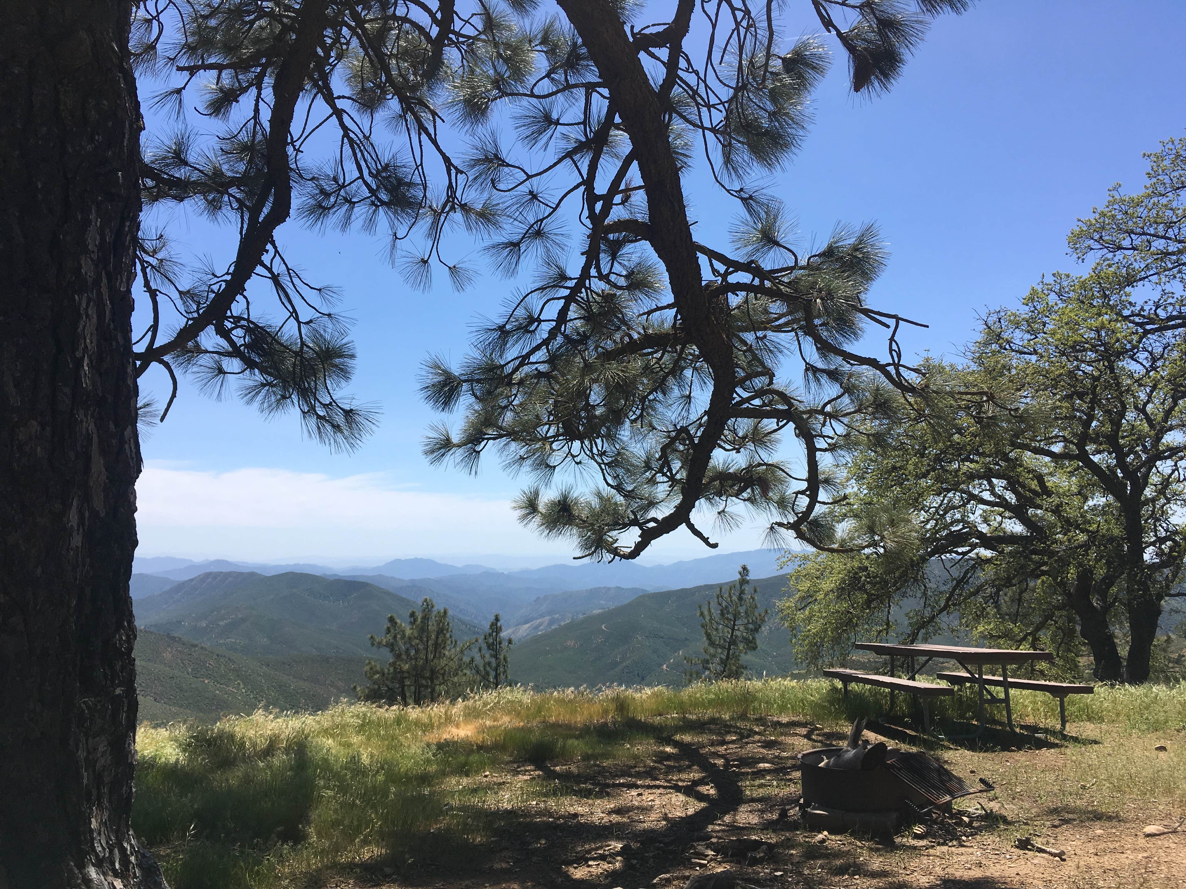 Camper-submitted photo at Miranda Pine Campground near Los Padres National Forest