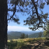 Review photo of Miranda Pine Campground by Dani P., July 12, 2019