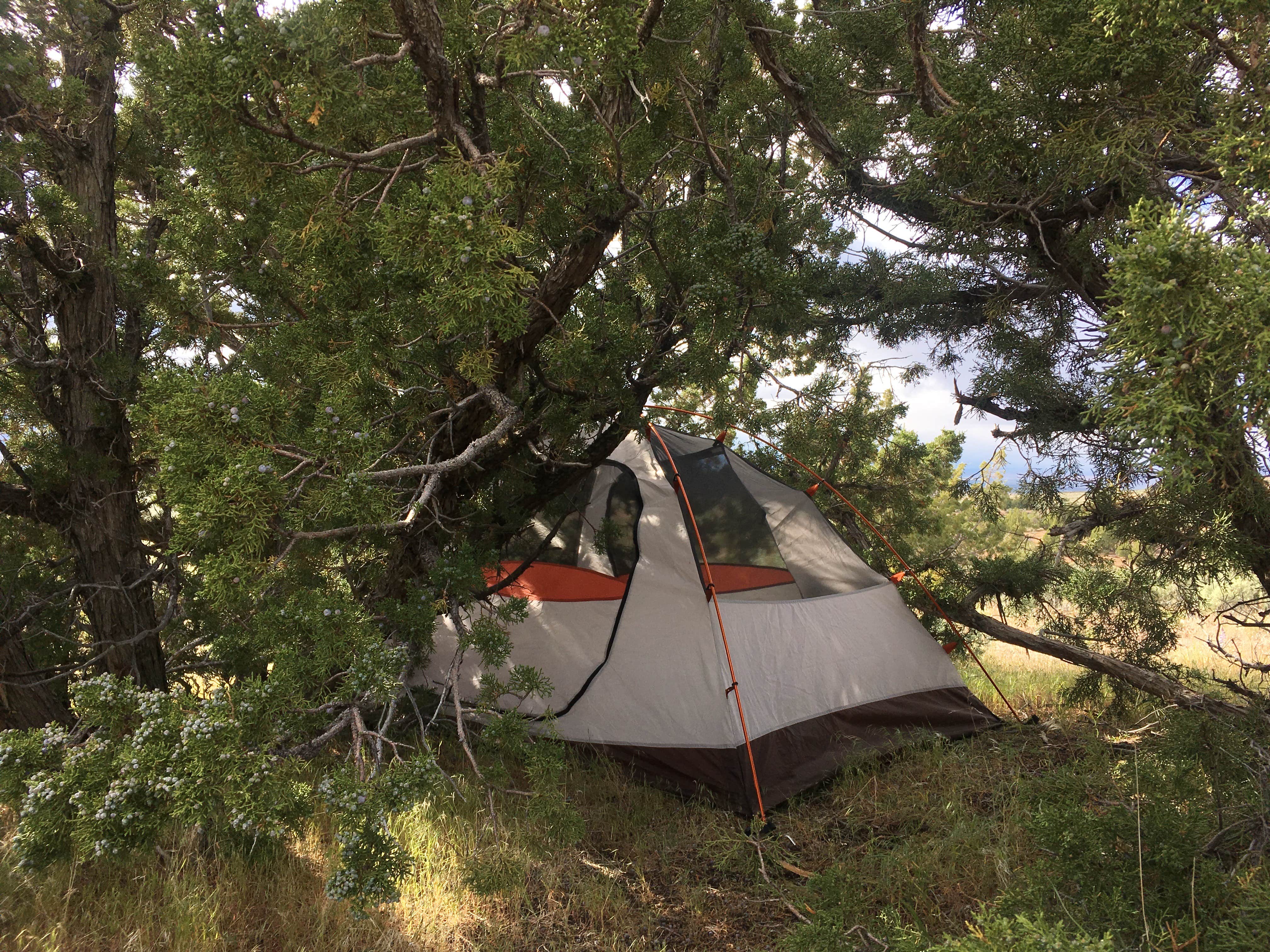 Camper submitted image from Fort Sage Off Highway Vehicle Area - 3