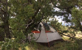 Dani P.'s photo at Fort Sage Off Highway Vehicle Area near Chilcoot, CA