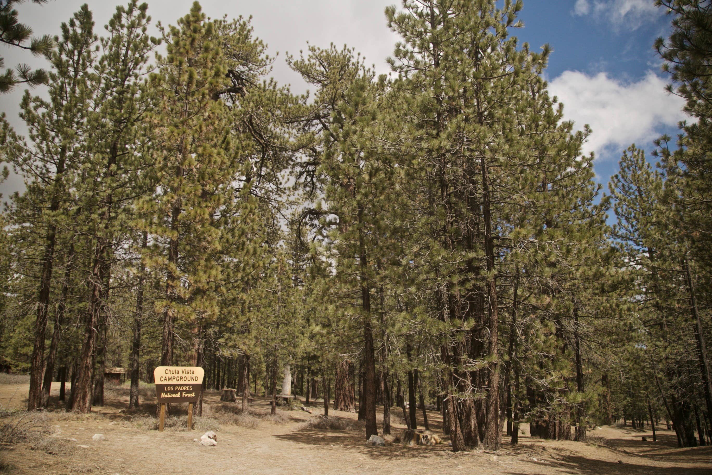 Camper-submitted photo at Chula Vista Campground at Mt. Pinos near Frazier Park, CA