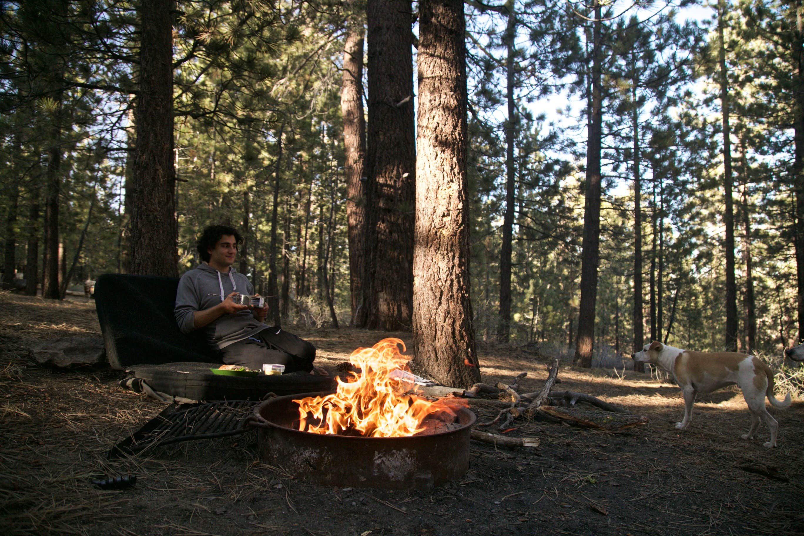 Dani P.'s photo of camping with pets at Chula Vista Campground at Mt. Pinos near Frazier Park, CA