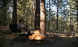 Dani P.'s photo of camping with pets at Chula Vista Campground at Mt. Pinos near Greenfield, CA